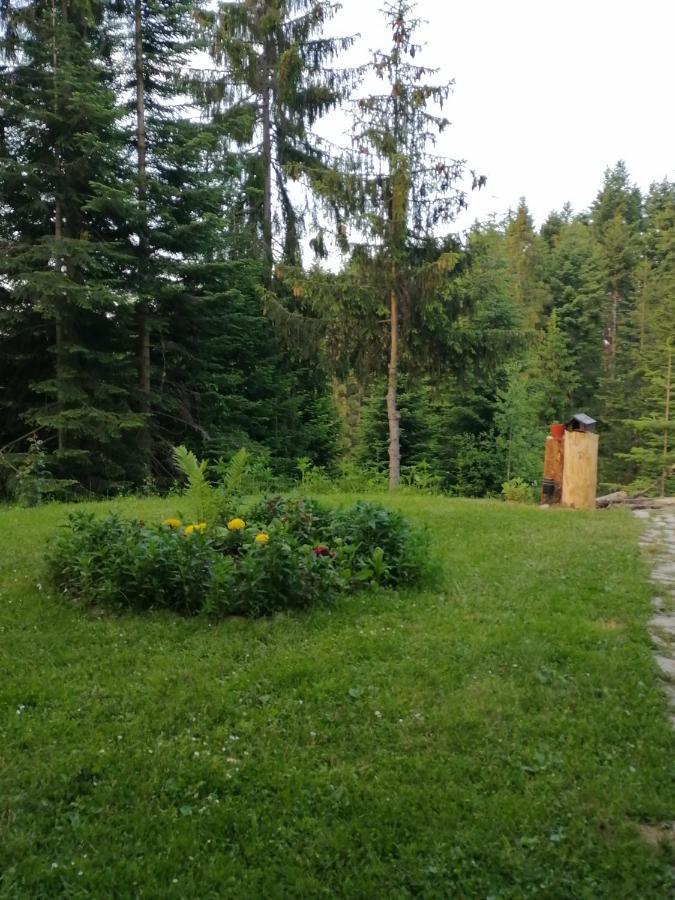 P-Zlatar, Apartman 3 Brdo Exterior photo